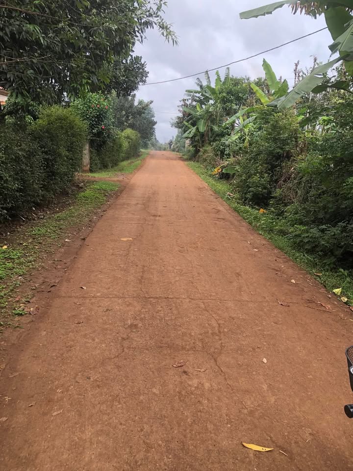 Nhà cấp 4 tại Buôn Kniết, Đắk Lắk 600m² giá chỉ 450 triệu - Phù hợp cho đôi vợ chồng trẻ!