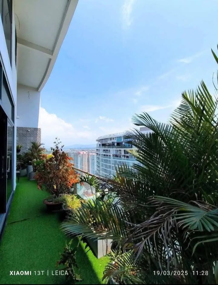Penthouse Gateway Vũng Tàu 237m² giá 13 tỷ - Sống như resort 5★!