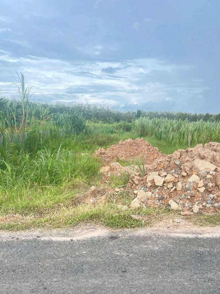 Đất Nền Khu Phố Ninh An, Phường Ninh Thạnh, Tây Ninh - 580m² giá chỉ 7.25 tỷ, thổ cư 100%!