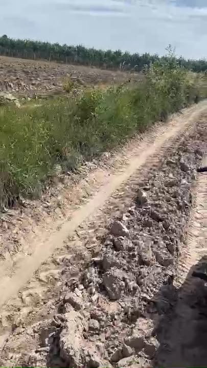 Đất nền ấp 4, xã Tân Thành, Tây Ninh 35,000m² giá 40.25 tỷ - Tiềm năng đầu tư lớn!