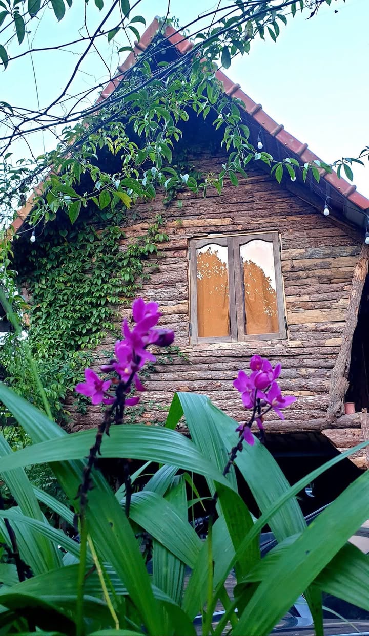 Nhà gỗ Kon Pring, 275m², giá 2 tỷ - Cơ hội đầu tư homestay văn hóa!