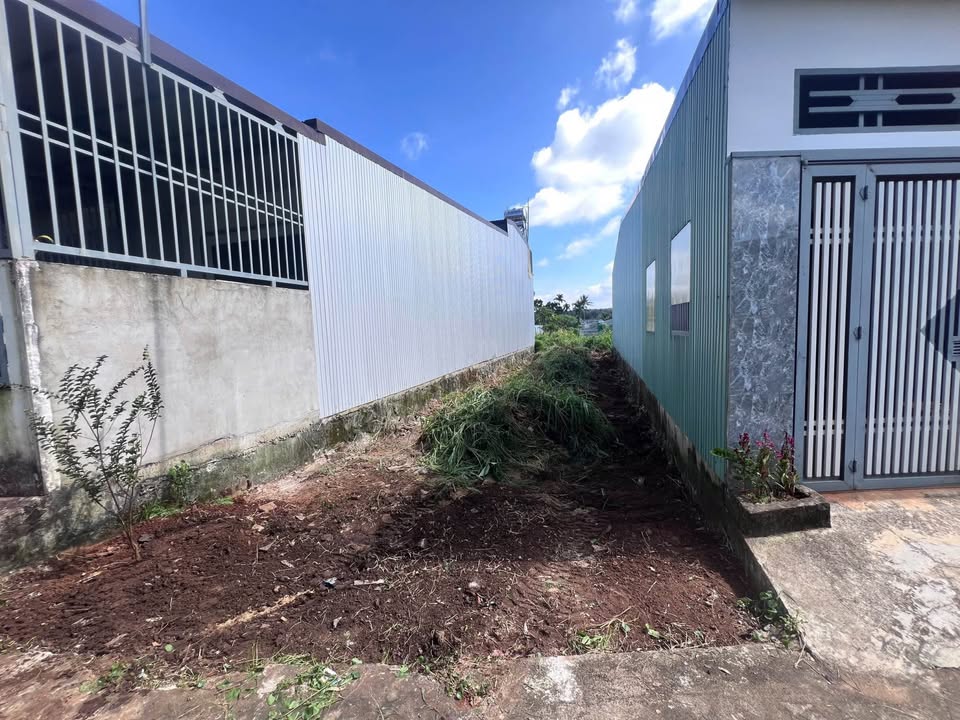 Đất nền chính chủ Tân Hòa 125m² giá chỉ 1.45 tỷ - Sổ đỏ pháp lý rõ ràng!