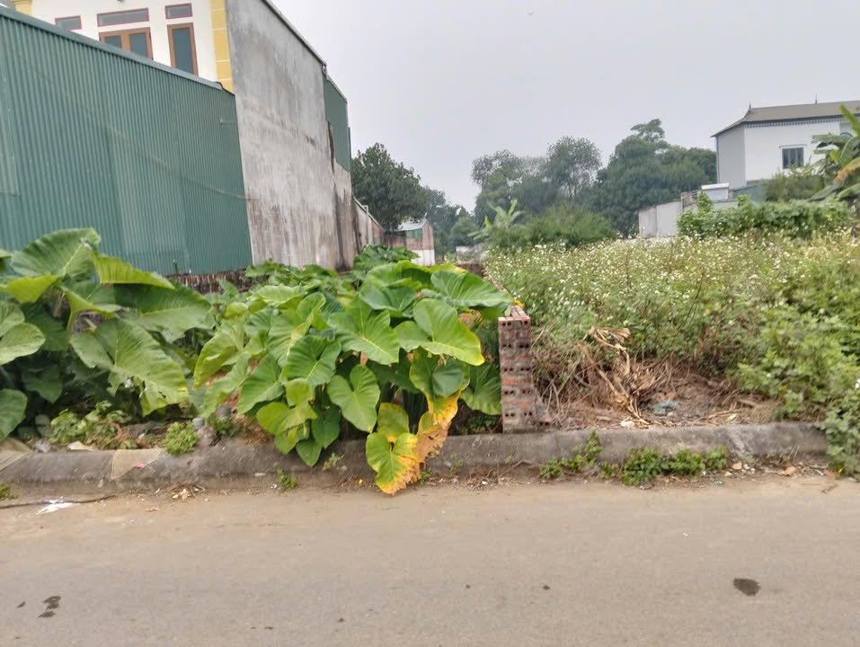 Đất thổ cư Phúc Tiến Thạch Thất 65m² giá 2 tỷ - Đường ô tô tránh nhau, không khí trong lành!