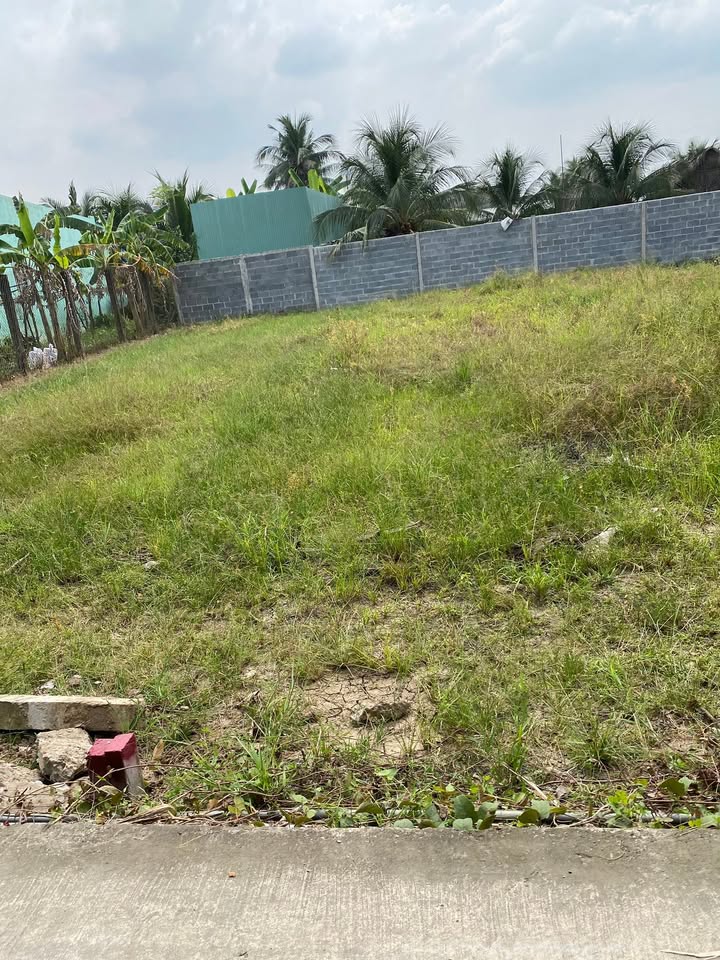 Đất nền Long Hoà A, Đạo Thạnh, Mỹ Tho 100m² giá 500 triệu - Sổ hồng chính chủ, thương lượng tốt!