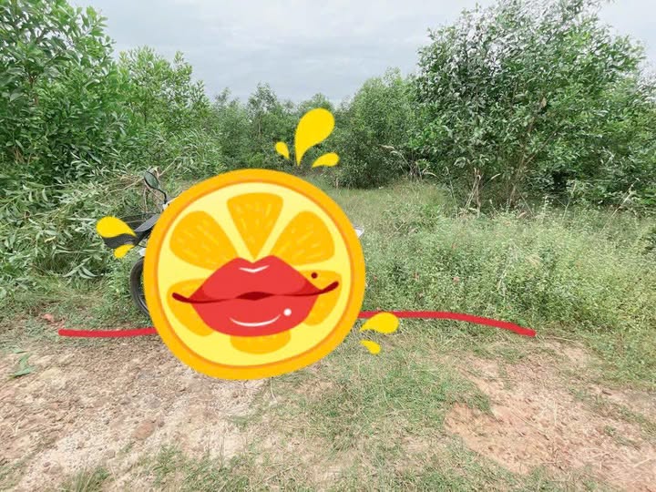 Đất thổ cư xã Phan, Dương Minh Châu 90m² giá chỉ 135 triệu - Cơ hội đầu tư tuyệt vời!