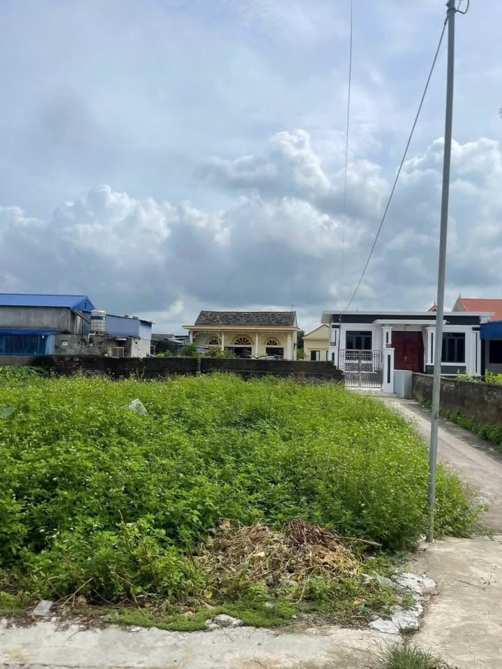 Đất nền Quảng Thanh, Thủy Nguyên, Hải Phòng 204m² - Giá chỉ 1 tỷ, vị trí đẹp!