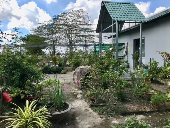 Nhà vườn nghỉ dưỡng An Giang 10.000m² giá 3.5 tỷ - Mô hình VAC lý tưởng cho nghỉ dưỡng