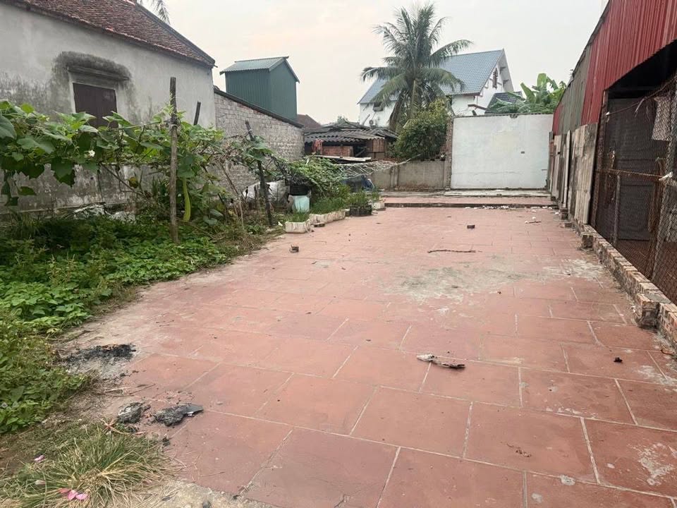 Đất nền phường Mão Điền, Thuận Thành 115m² giá 3 tỷ - Đầu tư sinh lời ngay!