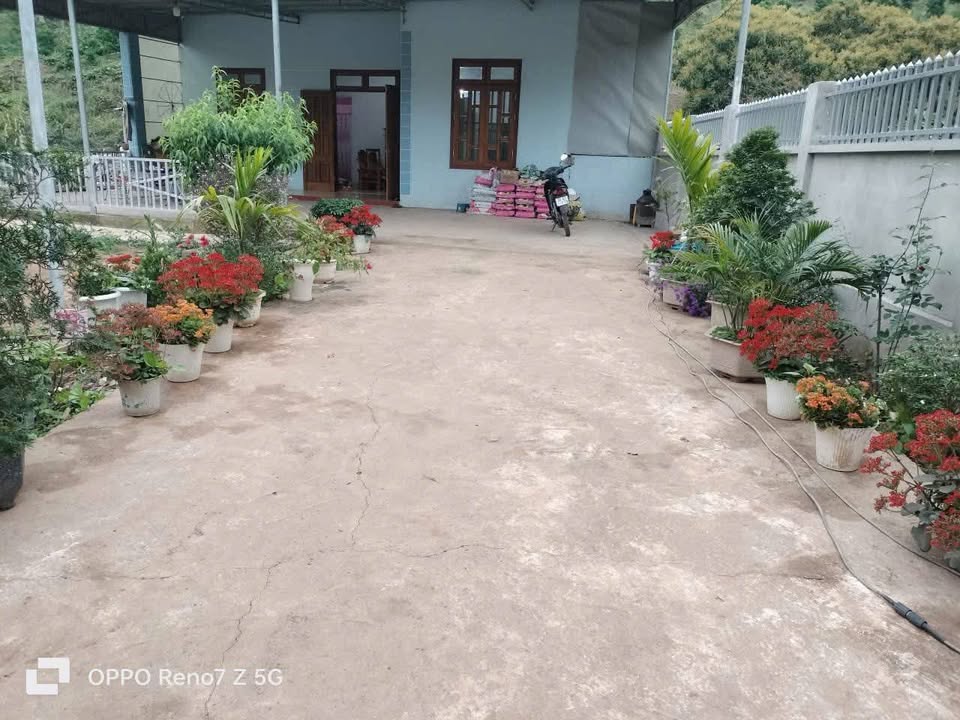 Đất và Nhà cấp 4 tại Chiềng Xuân 1723m² giá chỉ 800 triệu - Cơ hội vàng cho nhà đầu tư!