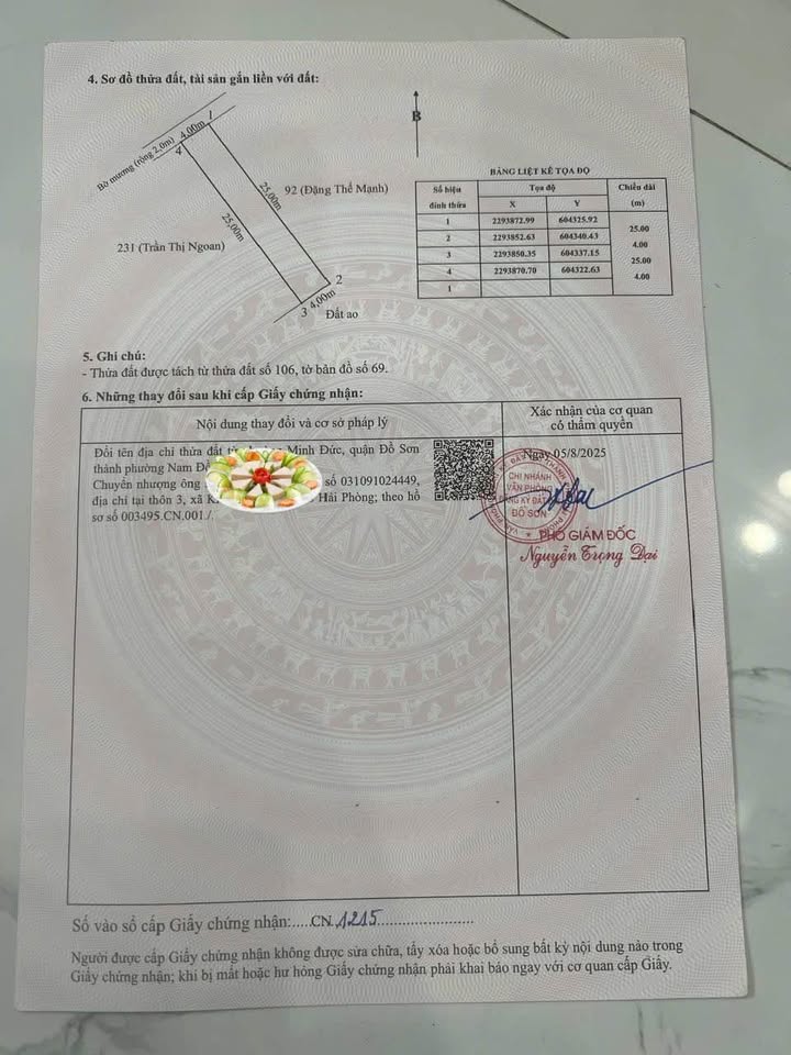 Đất nền Đồ Sơn Hải Phòng 100m² giá 3.3 tỷ - Sổ đỏ chính chủ, không quy hoạch!