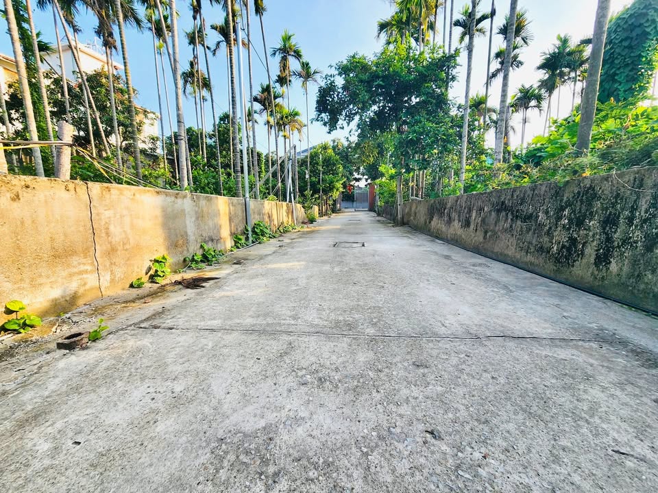 Bán lô đất ngõ 25 Cát Vũ, Tràng Cát 42m² giá 1.245 tỷ - Vị trí đẹp, thuận tiện sinh hoạt!