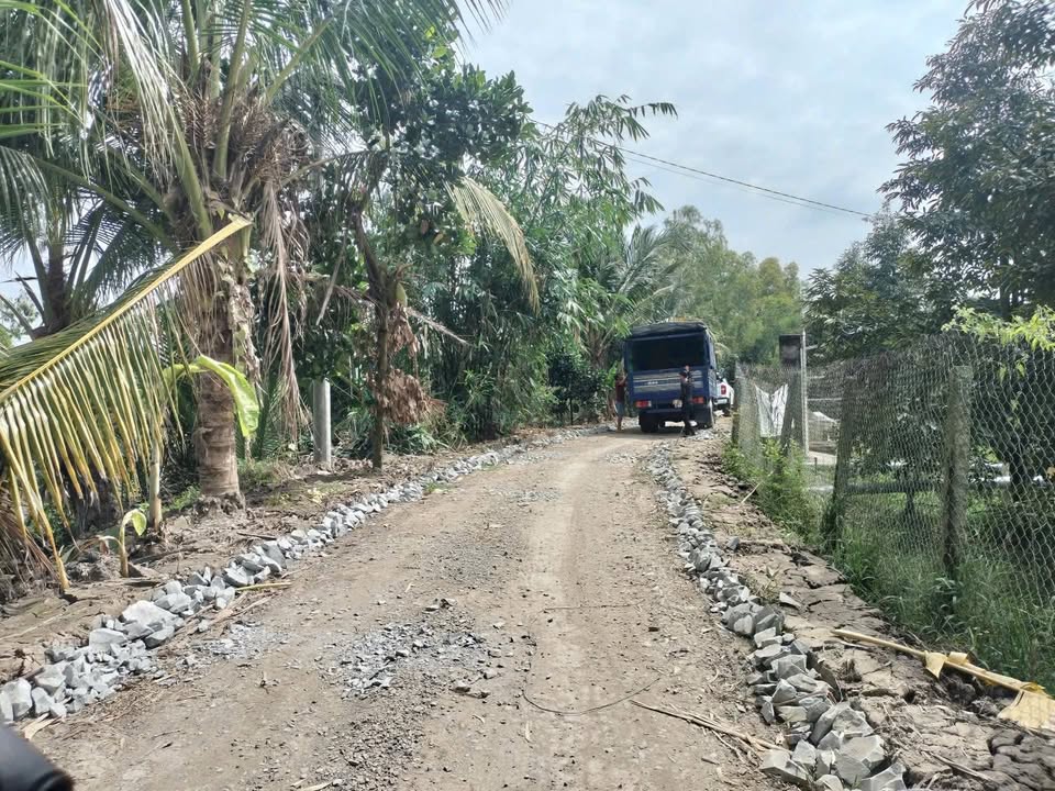 Đất cây lâu năm Đông Thành, Bình Minh 1300m² giá 650 triệu - Đầu tư sinh lời ngay!