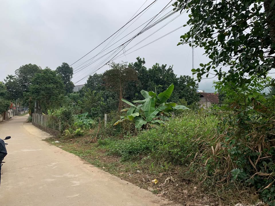 Đất thổ cư Kim Phú Tuyên Quang 510m² giá thỏa thuận - Cơ hội đầu tư tuyệt vời!