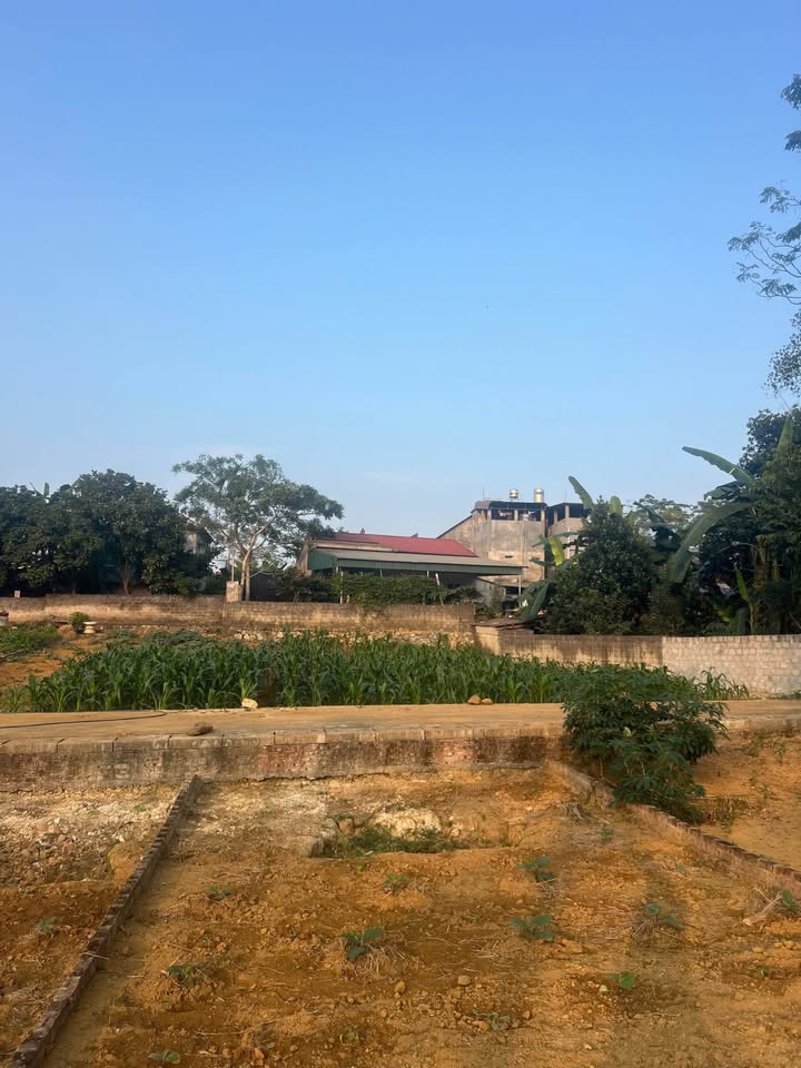 Đất nền Hoàng Khai, Yên Sơn 105m² giá 600 triệu - Đầu tư sinh lời hấp dẫn!