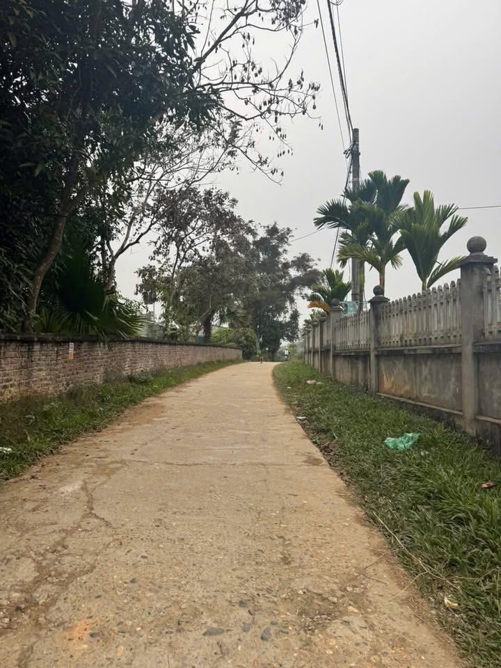 Đất nền An Tường Tuyên Quang 261,9m² giá 600 triệu - Phong thủy đẹp, đầu tư sinh lời!