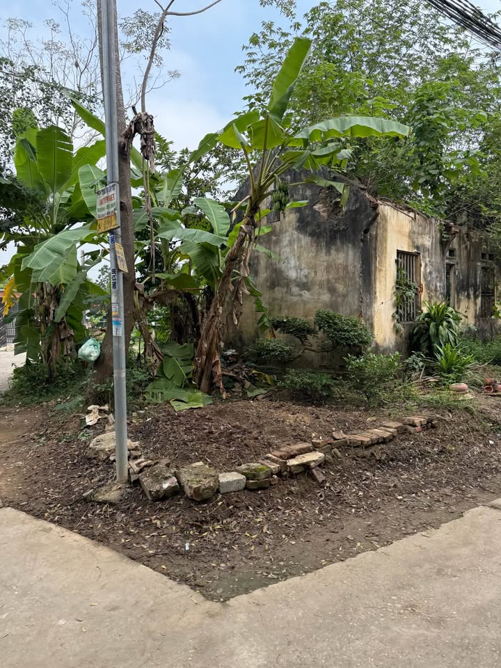 Đất thổ cư An Tường 160m² giá 800 triệu - Cắt lỗ sâu, gần uỷ ban!