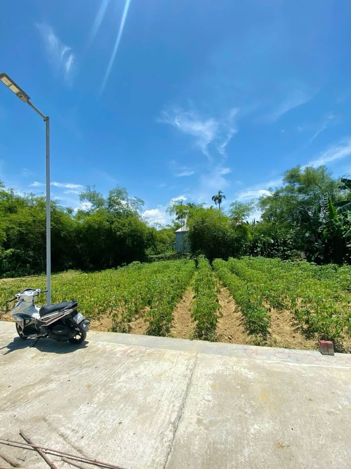 Đất nền chính chủ tại Quảng Thọ, Quảng Điền, Huế 105m² - Giá cắt lỗ chỉ từ 300 triệu!