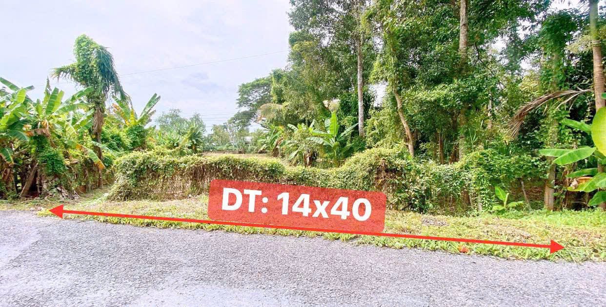 Đất thổ cư Trường Long, Phong Điền 450m² giá 1.66 tỷ - Phù hợp xây biệt thự nghỉ dưỡng!