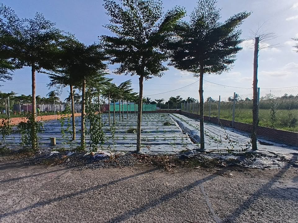 Đất nền xây trọ phường An Bình 300m² giá 3.2 tỷ - Vị trí thuận lợi gần đại học!