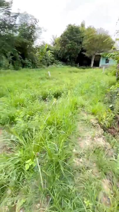 Đất thổ cư 210m² tại Phường Đông Thành, Bình Minh - Đầu tư sinh lời tại vị trí đắc địa!