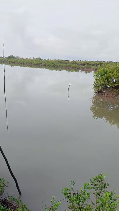 Đất vuông 20 công Vân Khánh Tây, An Minh, Kiên Giang - Giá 2.1 tỷ, cơ hội đầu tư tuyệt vời!