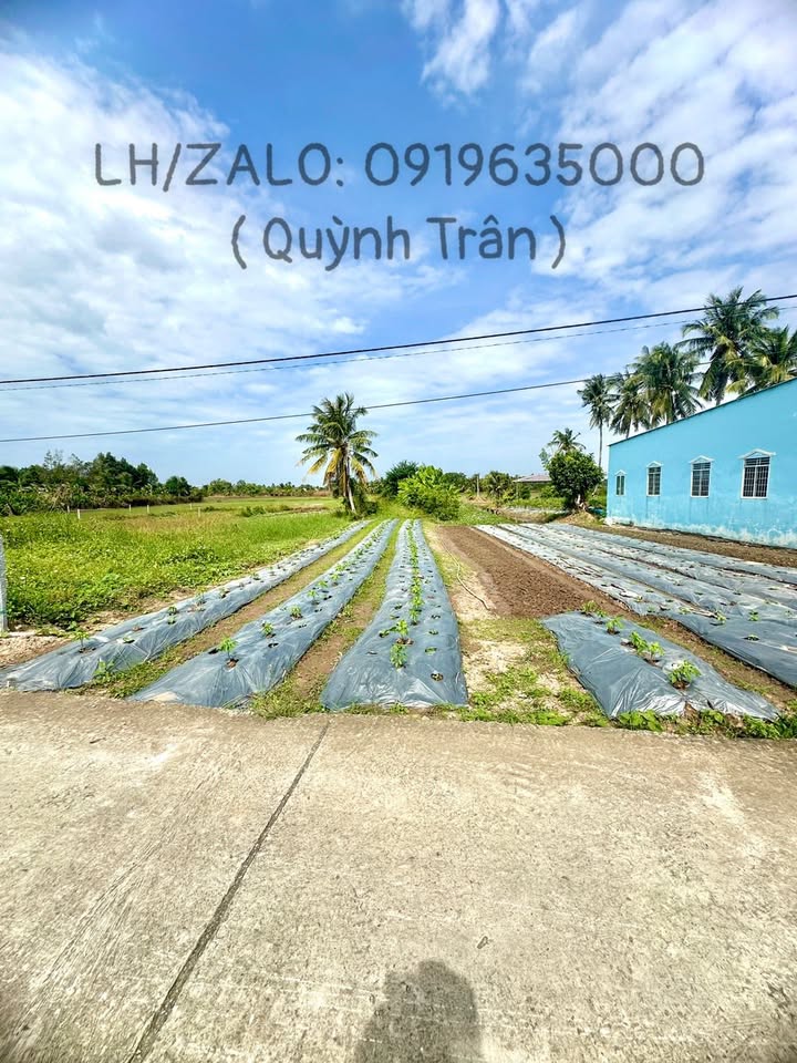 Đất nền mặt tiền đường Trần Nhân Tông, Vĩnh Hiệp, Rạch Giá 4737m² - Đầu tư sinh lời ngay!