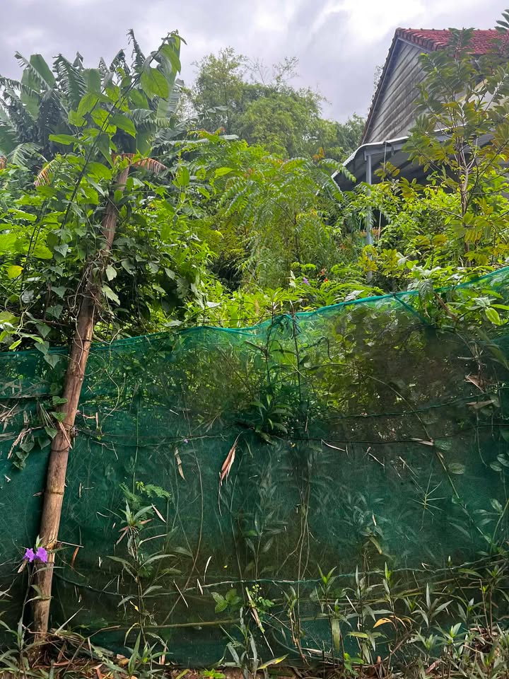 Đất nền Duy Phước, Duy Xuyên 144m² giá 700 triệu - Cơ hội đầu tư tuyệt vời!