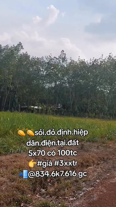 Đất nền Định Hiệp Dầu Tiếng 350m² giá 300 triệu - Sổ đỏ chính chủ!