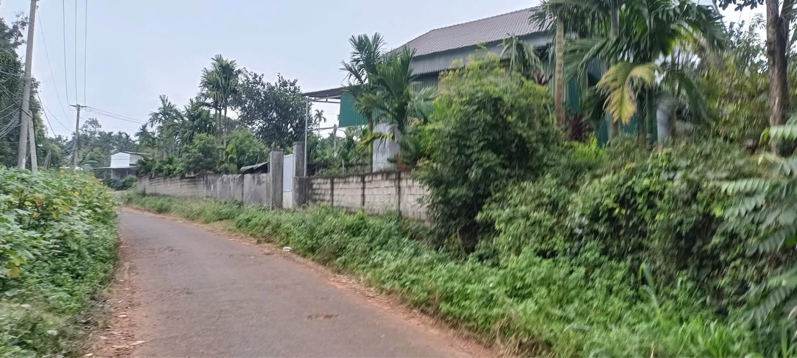 Đất thổ cư thôn 4 Tân Lập 184m² giá 1.15 tỷ - Đường lớn thuận tiện!