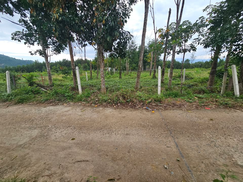 Đất vườn Khánh Đông 1432m² giá 650 triệu - Pháp lý rõ ràng, sẵn sàng đầu tư!