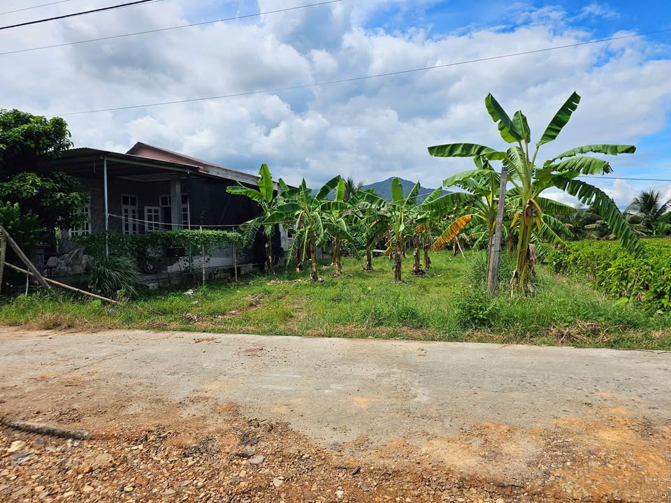 Đất thổ cư Gò Mè, Suối Tiên 502.5m² giá chỉ 1.8 tỷ - Đầu tư sinh lời ngay!