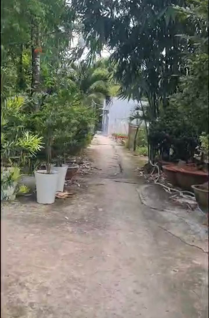 Đất nền Long Hòa, Bình Thủy 100m² giá 1.25 tỷ - Sổ đỏ chính chủ