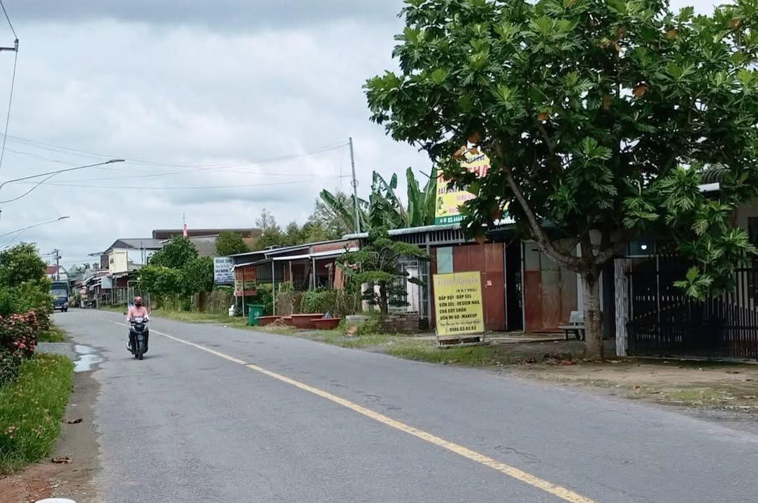 Đất mặt tiền TL 864, xã Hội Xuân, 2448m² giá 22.95 tỷ - Tiềm năng kinh doanh lớn!