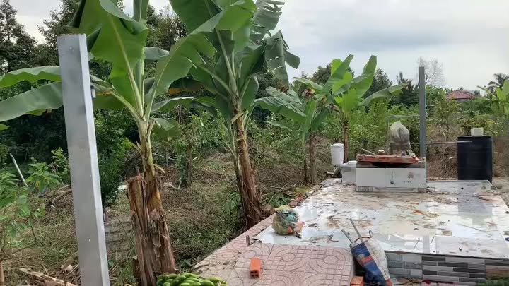 Đất vườn 940m² tại Long Trung, Cai Lậy giá 500 triệu - Đầy tiện ích xung quanh!