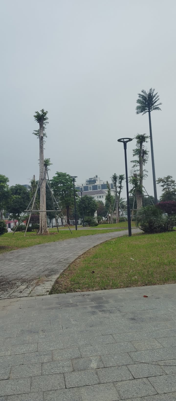 Đất nền Phù Khê Từ Sơn 80m² giá chỉ 5 tỷ - Sổ đỏ chính chủ!