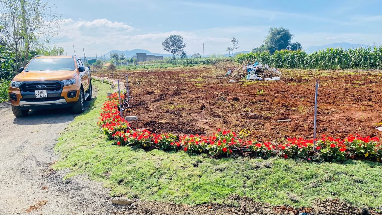 Đất thổ cư 147m² tại xã Tân Hội, Lâm Đồng - Kết nối thuận lợi đến Đà Lạt!