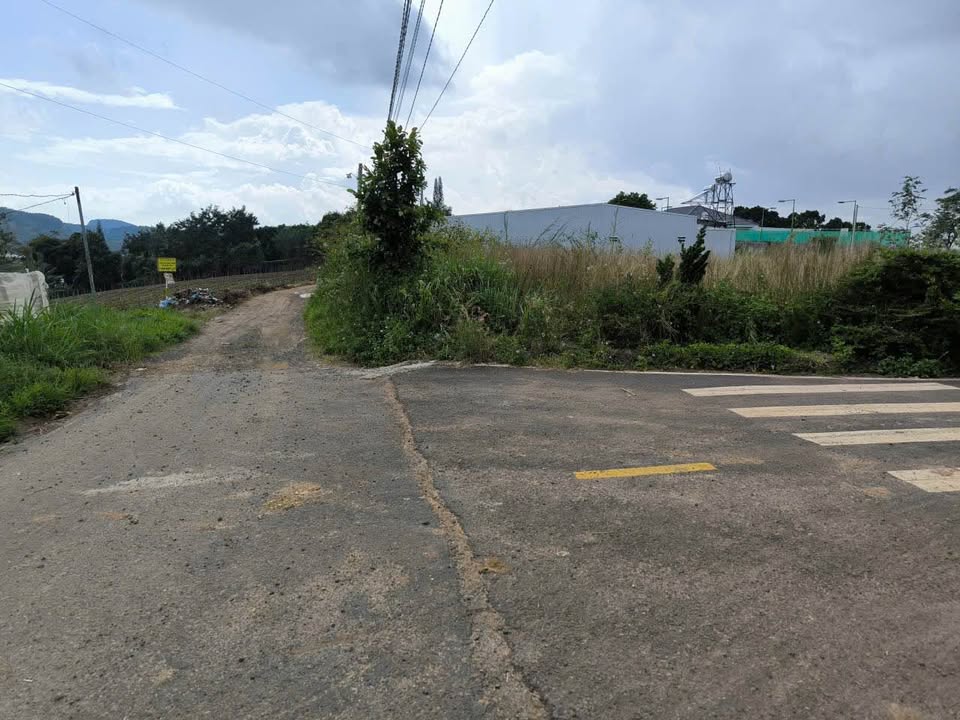 Đất Phú Hội, Đức Trọng 137m² giá chỉ 950 triệu - Cơ hội đầu tư tuyệt vời!