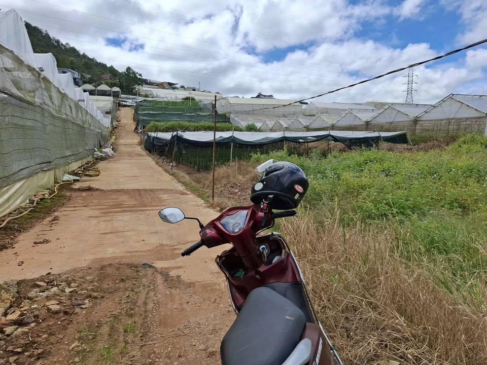 Đất nền hẻm xe hơi đường Thái Phiên, Đà Lạt 74m² giá 1.1 tỷ - Đầu tư sinh lời ngay!