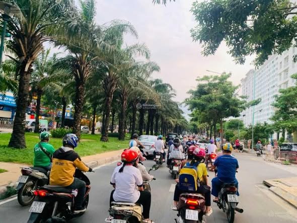 Đất Mặt Tiền Đường 9A Bình Chánh 200m² giá 53 tỷ - Cơ hội đầu tư tuyệt vời!