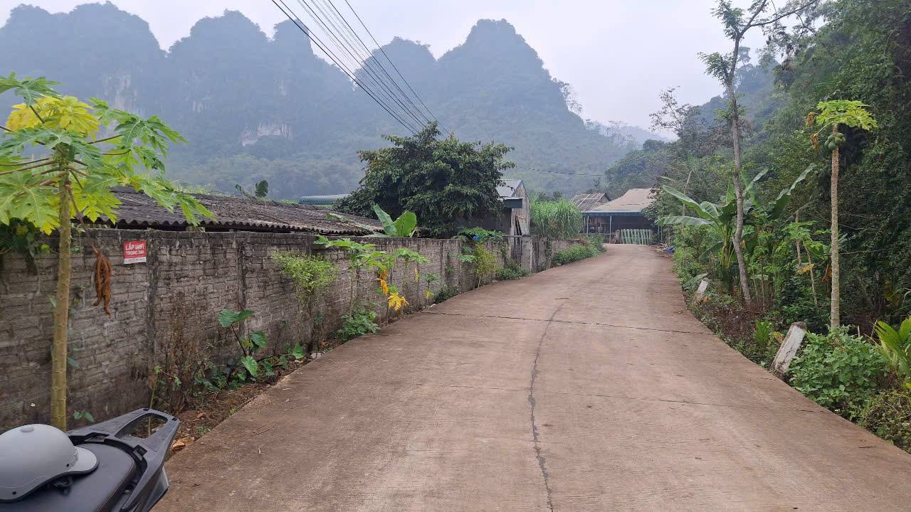 Đất nền 4800m² tại Mỹ Hòa, Tân Lạc - Giá chỉ 2 tỷ, đầu tư tiềm năng!