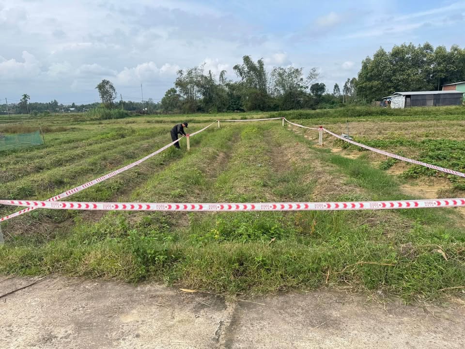 Đất trồng cây Tam Phú 160m² giá 150 triệu - Sổ đỏ chính chủ!