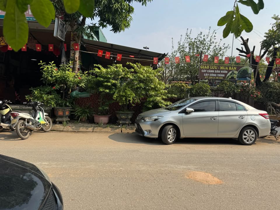 Đất nền Tứ Xã, Lâm Thao 100m² giá 2 tỷ - Mặt tiền chợ, vị trí đắc địa!