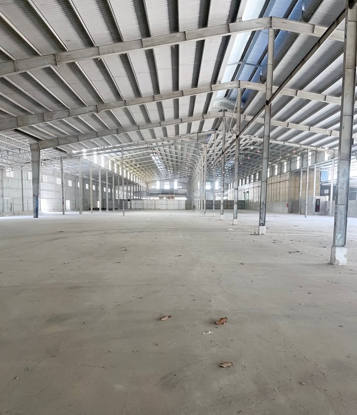 Nhà xưởng cho thuê tại Khu Gốm Sứ Tân Hạnh Biên Hòa 3000m² giá 180 triệu/tháng - Cơ hội đầu tư hấp dẫn!