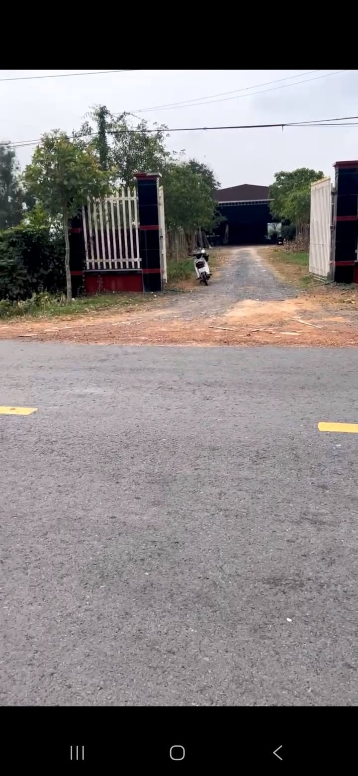 Nhà xưởng 7000m² mặt tiền Quốc lộ 796 - Pháp lý đầy đủ, giá thỏa thuận!