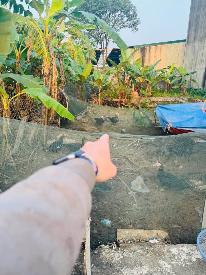 Đất nền xóm 5 Nghi Kim 78m² giá 1.5 tỷ - Đầu tư sinh lời ngay!