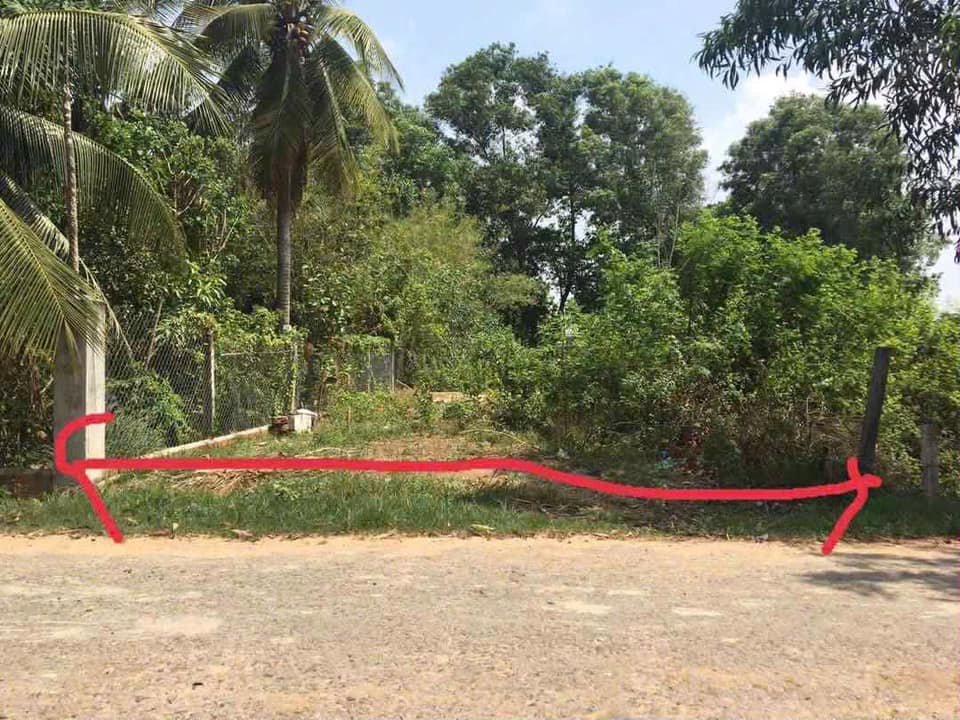 Đất nền Trà Vong 294m² giá 650 triệu - Đầu tư sinh lời ngay!