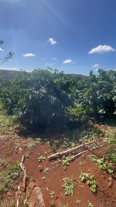 Đất nền Ia Kha 5.200m² giá 1.4 tỷ - Điện nước đầy đủ, thuận tiện đầu tư!