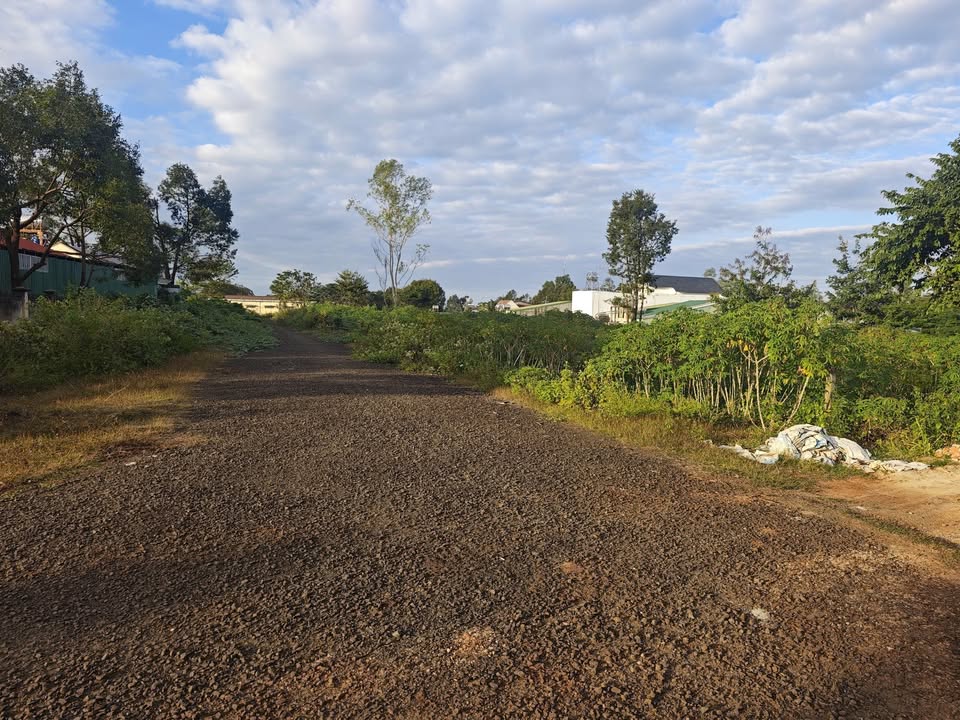 Đất nền đẹp tại xã Ia Ly 156m² chỉ 300 triệu - Đầu tư sinh lời ngay!