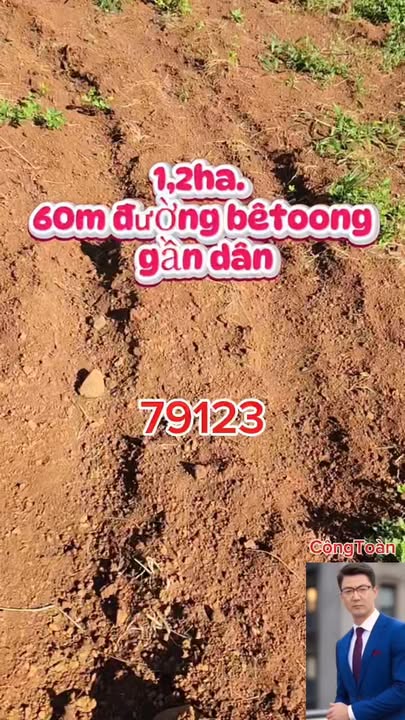 Đất nông nghiệp 1,2ha tại xã Ia Blứ, Gia Lai - Giá chỉ 1,85 tỷ VND!