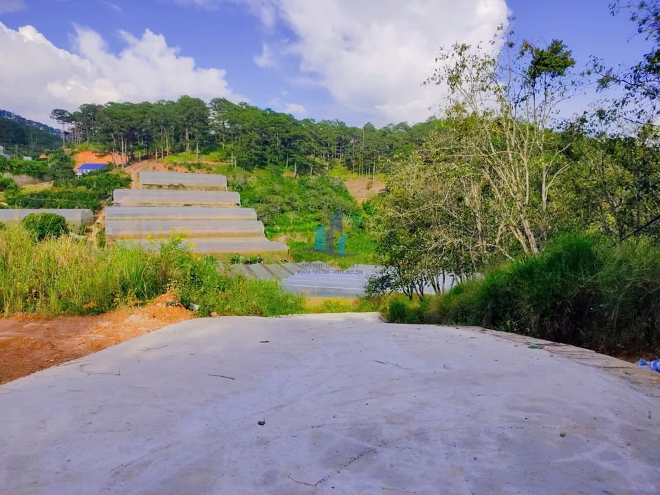 Đất nông nghiệp Xuân Thọ Đà Lạt 1187m² giá 4,5 tỷ - Cơ hội đầu tư tuyệt vời!